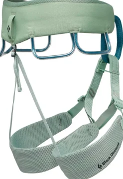Black Diamond Womens Momentum Harness - Desert Sage