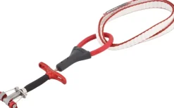 DMM Dragonfly Cam - 2