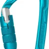 Edelrid Pure Triple III Carabiner - Icemint
