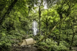 Fjallraven Abisko Lite 3 Tent - Pine Green