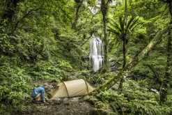 Fjallraven Abisko Lite 3 Tent - Pine Green