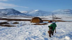 Hilleberg Allak 3 Tent - Green