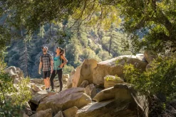 Kuhl Mens Renegade Shorts - 10in - Koal