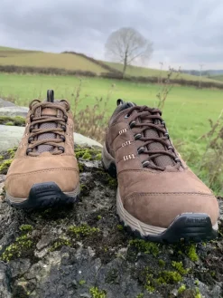 Meindl Mens Philadelphia GTX Shoes - Brown