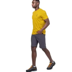 Mountain Equipment Mens Approach Short - Shadow Grey