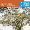 OS Explorer Map 114 - Exeter and the Exe Valley