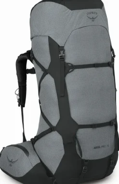 Osprey Womens Ariel Pro 75 Rucksack - Silver Lining