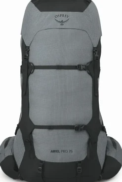 Osprey Womens Ariel Pro 75 Rucksack - Silver Lining