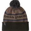 Patagonia Powder Town Beanie - Park Stripe-Marlow Brown