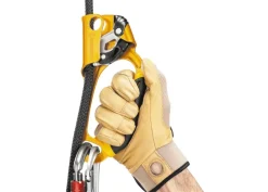 Petzl Ascension