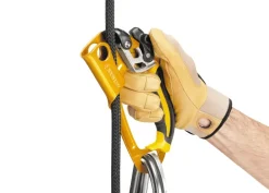 Petzl Ascension