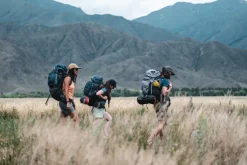 Rab Womens Dovestone Shorts - Sage