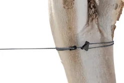 Sea To Summit The Clothesline