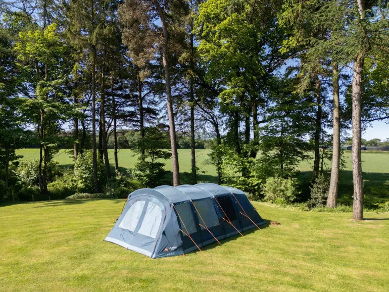 Vango Savannah 600XL Tent Package