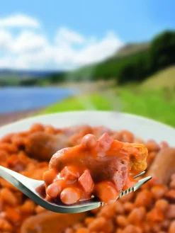 Wayfayrer Vegetarian All Day Breakfast