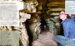 Wild Guide South West England 2