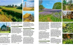 Wild Guide South West England 2